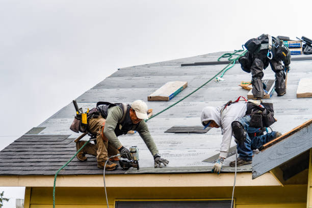 Professional Emergency Roof Repair technician working in Elk Park, NC